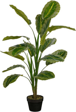 Mica Decorations Kunstplant Calathea - 80x80x120 cm - Polyester - Groen