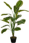 Mica Decorations Kunstplant Calathea - 80x80x120 cm - Polyester - Groen