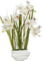 Mica Decorations Kunstplant Cymbidium - 49x40x81 cm - Polyester - Creme