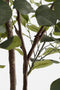 Mica Decorations Kunstplant Eucalyptusboom in Pot - H180 x Ø80 cm - Groen