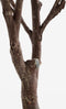 Mica Decorations Kunstplant Eucalyptusboom in Pot - H180 x Ø80 cm - Groen