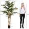 Mica Decorations Kunstplant Olijfboom in Pot - H183 x Ø130 cm - Groen