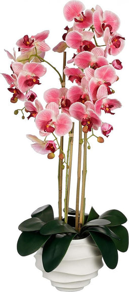 Mica Decorations Kunstplant Phalaenopsis - 40x34x82 cm - Polyester - Roze