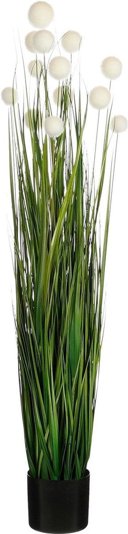 Mica Decorations Kunstplant Pom Pon Gras - 30x30x120 cm - PVC - Groen