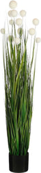 Mica Decorations Kunstplant Pom Pon Gras - 30x30x120 cm - PVC - Groen