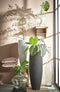Mica Decorations Kyara Fles Vaas - H60 x Ø28 cm - Gerecycled Glas - Transparant