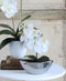 Mica Decorations Kyra Plantenschaal - L40 x B12,5 x H12 cm - Zilver