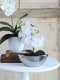 Mica Decorations Kyra Plantenschaal - L40 x B12,5 x H12 cm - Zilver