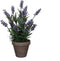 Mica Decorations Lavendel Kunstplant in Bloempot Stan - H33 x Ø20 cm - Blauw