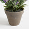 Mica Decorations Lavendel Kunstplant in Bloempot Stan - H33 x Ø20 cm - Paars