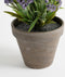 Mica Decorations Lavendel Kunstplant in Bloempot Stan - H33 x Ø20 cm - Blauw