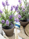 Mica Decorations Lavendel Kunstplant in Bloempot Stan - H33 x Ø20 cm - Paars