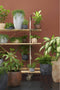 Mica Decorations Lester Bloempot - H18 x Ø20 cm - Terracotta - Zwart