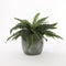 Mica Decorations Lester Bloempot - H22 x Ø24 cm - Terracotta - Groen