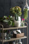 Mica Decorations Lester Bloempot - H26 x Ø28 cm - Terracotta - Groen