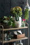 Mica Decorations Lester Bloempot - H31 x Ø33 cm - Terracotta - Groen