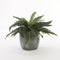 Mica Decorations Lester Bloempot - H31 x Ø33 cm - Terracotta - Groen