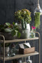 Mica Decorations Lester Bloempot - H31 x Ø33 cm - Terracotta - Groen