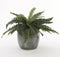 Mica Decorations Lester Bloempot - H35 x Ø38 cm - Terracotta - Groen