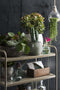 Mica Decorations Lester Bloempot - H35 x Ø38 cm - Terracotta - Groen