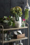 Mica Decorations Lester Bloempot - H35 x Ø38 cm - Terracotta - Lichtgrijs
