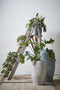 Mica Decorations Lester Vaas - H50 x Ø30 cm - Terracotta - Lichtgrijs