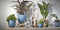 Mica Decorations Lilou Vaas - H31 x Ø22 cm - Gerecycled Glas - Transparant