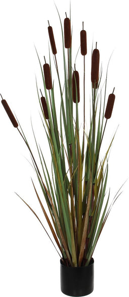 Mica Decorations Lisdodde Kunstplant - H120 x Ø15 cm - Bruin