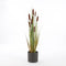Mica Decorations Lisdodde Kunstplant - H120 x Ø15 cm - Bruin