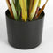 Mica Decorations Lisdodde Kunstplant - H90 x Ø12,5 cm - Bruin