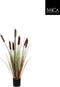 Mica Decorations Lisdodde Kunstplant - H90 x Ø12,5 cm - Bruin