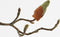 Mica Decorations Magnolia Kunstbloem - H88 cm - Roze