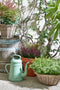 Mica Decorations Marcia Outdoor Plant Basket - H18 x Ø43 cm - Rattan - Grey