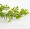 Mica Decorations Margriet Kunst Slinger - H180 cm - Wit