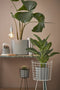 Mica Decorations Midar Plantenstandaard - H66 x Ø25 cm - Metaal - Zwart