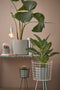 Mica Decorations Midar Plantenstandaard - H77 x Ø31 cm - Metaal - Zwart