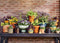 Mica Decorations Momo Bloempot - 19x19x18 cm - Terracotta - Terra