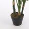Mica Decorations Monstera Kunstplant - H100 x Ø75 cm - Groen