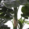 Mica Decorations Monstera Kunstplant - H140 x Ø80 cm - Groen