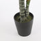 Mica Decorations Monstera Kunstplant - H160 x Ø80 cm - Groen