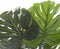 Mica Decorations Monstera Kunstplant - H60 x Ø80 cm - Groen