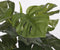 Mica Decorations Monstera Kunstplant in Bloempot Stan - H48 x Ø39 cm - Groen