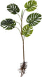 Mica Decorations Monstera Kunstplant - L26 x B30 x H124 cm - Groen