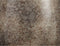 Mica Decorations Oliver Bloempot - H22 x Ø24 cm - Terracotta - Bruin