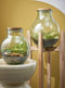 Mica Decorations Olly Vaas - H25 x Ø21 cm - Gerecycled Glas - Transparant