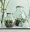 Mica Decorations Olly Vaas - H38 x Ø29 cm - Gerecycled Glas - Transparant