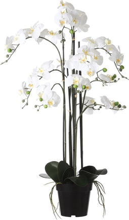 Mica Decorations Orchidee bloem kunstplant - parel wit - H97 x B19 cm
