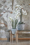 Mica Decorations Orchidee bloem kunstplant - parel wit - H97 x B19 cm