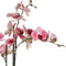 Mica Decorations Orchidee bloem kunstplant - roze - H75 x B50 cm