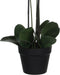 Mica Decorations Orchidee bloem kunstplant - roze - H75 x B50 cm